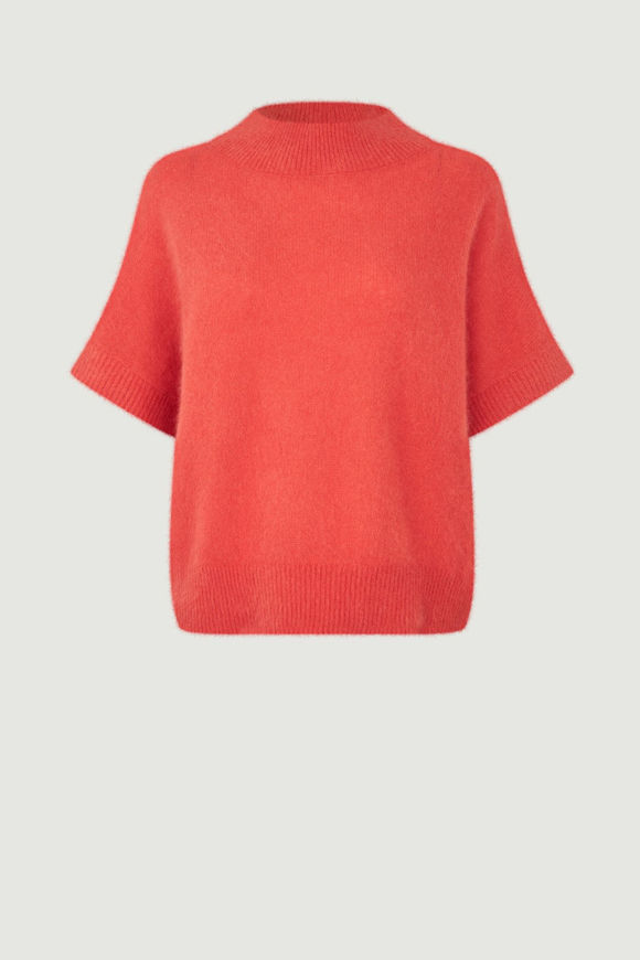 Six Ames Strik Doanna